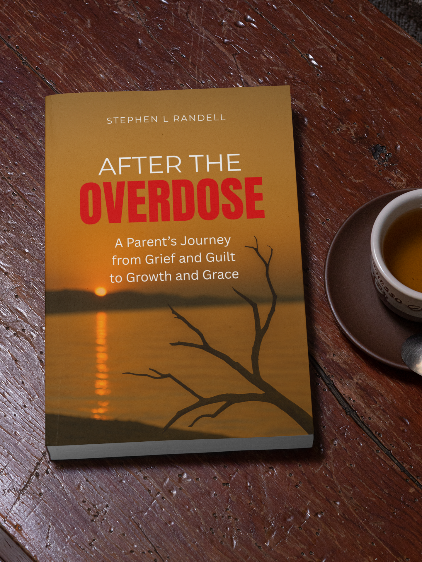 🔥 After The Overdose – A Parent's Journey from Grief and Guilt to Growth and Grace