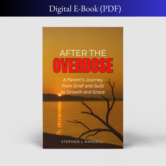 After the Overdose — Digital E-Book